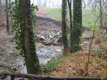 Duke University Water Reclamation Pond