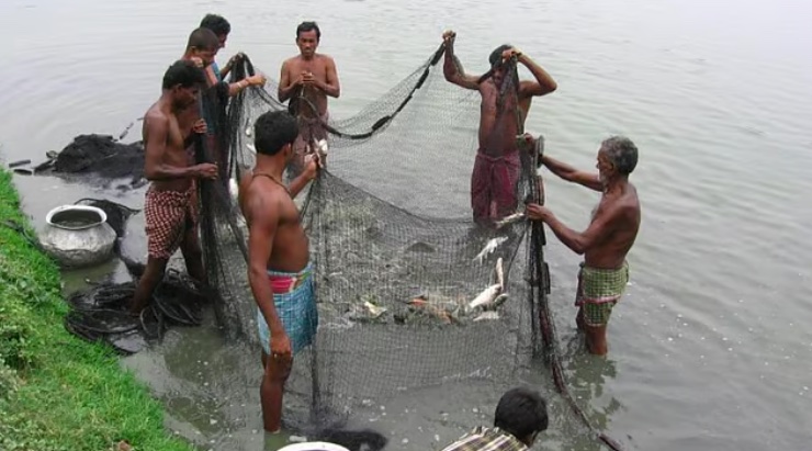 Wastewater Bheris of Kolkata Image