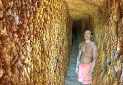 Surangams of Western Ghats Image